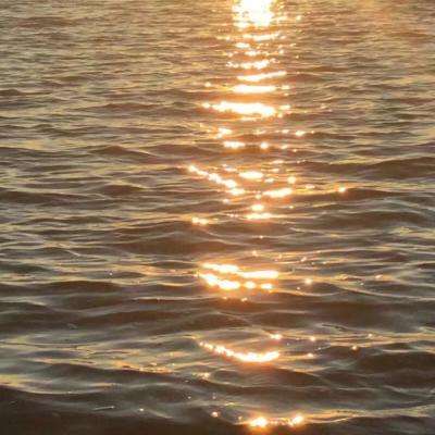 乐鱼竞彩官网下载手机版